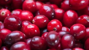 Cranberry and UTIs